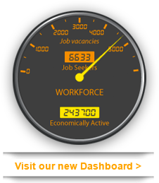 Visit the Dashboard